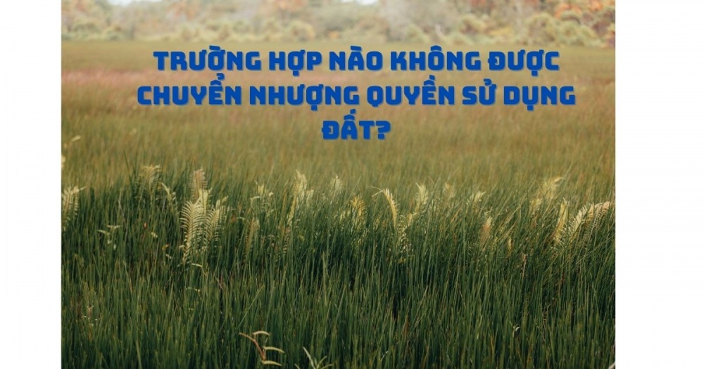 Trường Hợp Nào Không được Chuyển Nhượng Quyền Sử Dụng đất