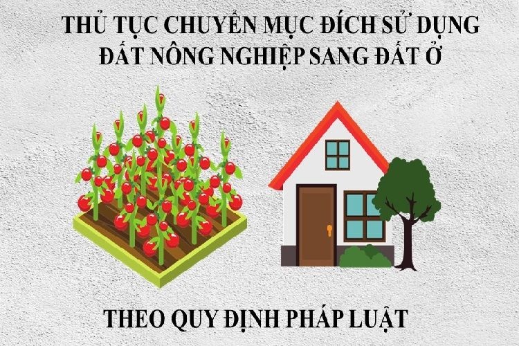 Thu Tuc Chuyen Doi Muc Dich Su Dung Dat Nong Nghiep Sang Dat O