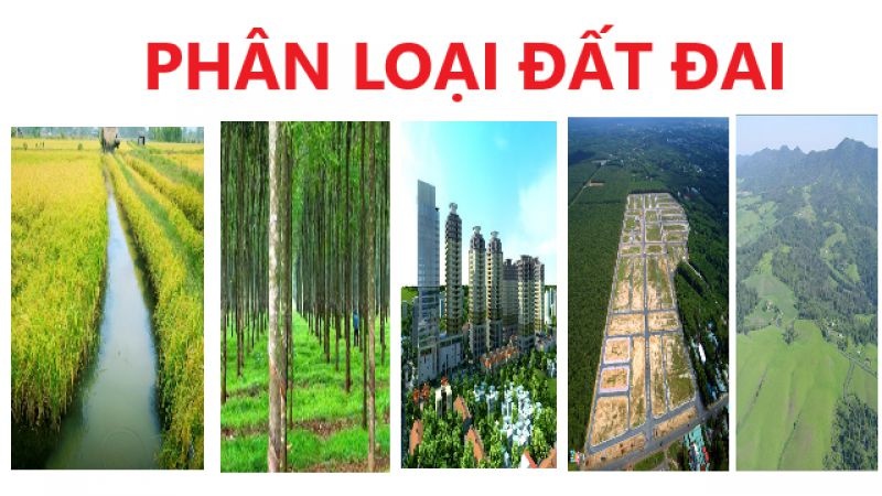 PhÂn LoẠi ĐẤt