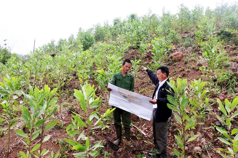 Giao đất Có Thu Tiền